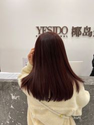 -YESIDO椰岛造型
