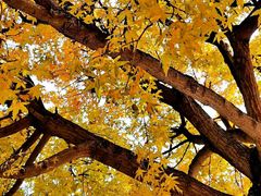 -東更道点心行(文化东路店)