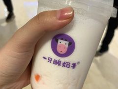 -一只酸奶牛(时代天街A馆店)