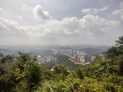 -梧桐山风景名胜区