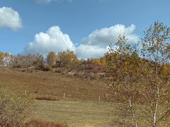 -塞罕坝国家级自然保护区