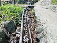 -宁波浙东大竹海景区