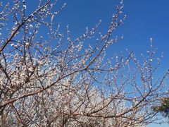 -长春公园(普阳街道)