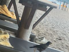 -三亚亚龙湾红树林度假酒店