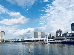 -台场海滨公园船码头