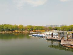 -大兴滨河森林公园