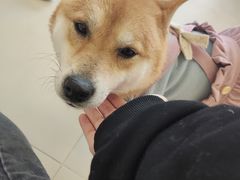 -怪兽屋·羊驼·猫咖·狗咖(俊华广场店)