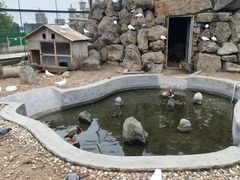 -清风小镇闯关东影视基地