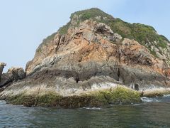 -广东惠东海龟国家级自然保护区