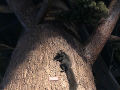 -陕西自然博物馆