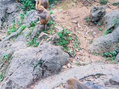 -黔灵山公园