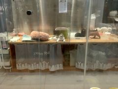 -狗道宠物(常熟印象城店)