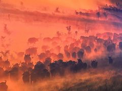 -罗红摄影艺术馆