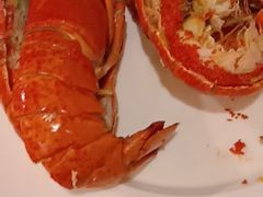 小青龙-上海锦江汤臣洲际大酒店壹阶层