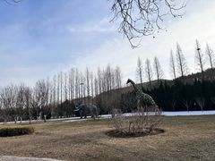 -棒棰岛宾馆景区