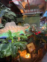 -恐龙探索乐园(磁器口店)