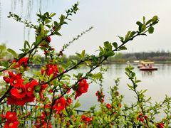 -古塔公园