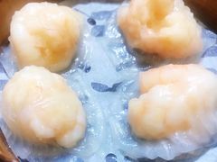 -添好运点心专门店(北角店)