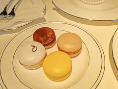 -BLACKSWAN黑天鹅(环球店)