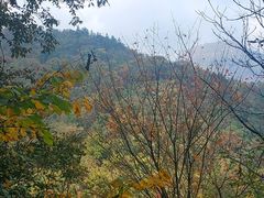 -燕子河大峡谷天坑仙境