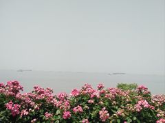 -上海滨江森林公园