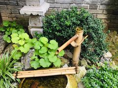 -御品轩(凤城二路店)