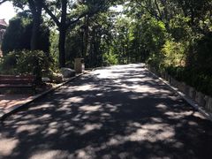 -棒棰岛宾馆景区