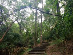 -福建师范大学(仓山校区)