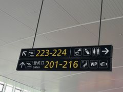 -温州龙湾国际机场