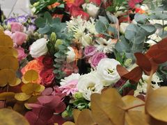 -重庆市江北嘴中央商务区中央公园