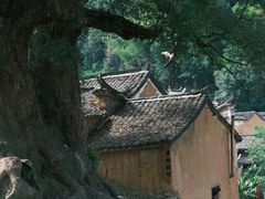 -杨家堂村