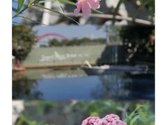 -喜洲吧·江畔老船厂·庭院餐厅(喜临院店)