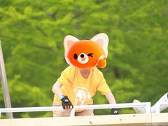 -春花秋色城市公园