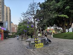 -闽江夜游台江旅游码头