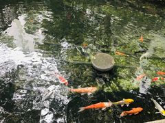 -香港大学