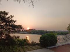 -大兴滨河森林公园