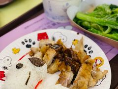 -史努比缤纷世界