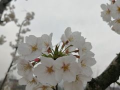 -长田漾湿地公园
