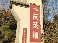 -茯茶镇
