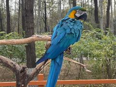 -北京野生动物园