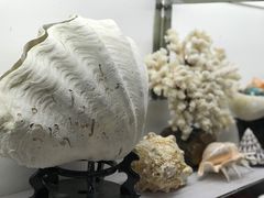 -中国舟山国际水产城