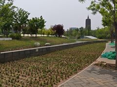 -西海子公园