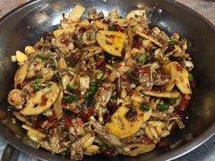 子姜蛙-呱呱兔庄