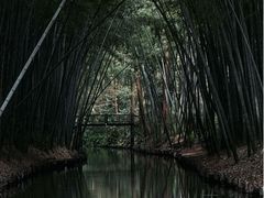 -同里国家湿地公园