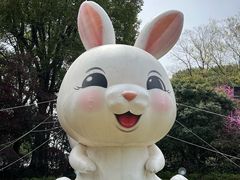 -金鸡湖桃花岛