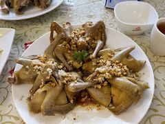 -百利鸽王(紫薇路店)