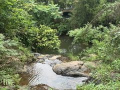 -大雁山风景区