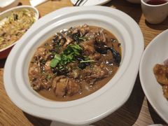 -金掌勺·锅包肉(广渠门店)