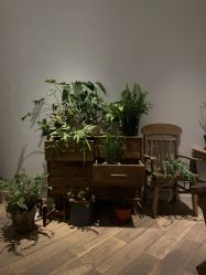 -WAVE SODA摄影工作室