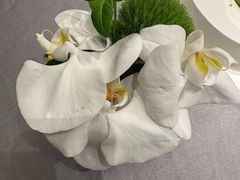 -三利音·浦之舟(滨江大道店)